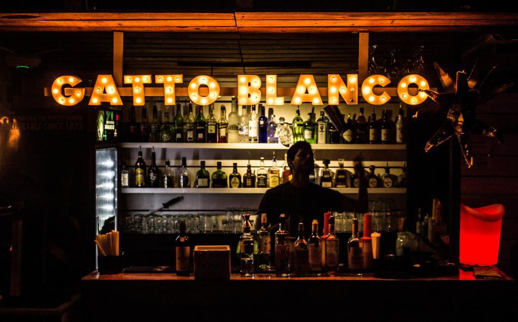 Gatto Blanco Party Hotel 파나마시티 외부 사진