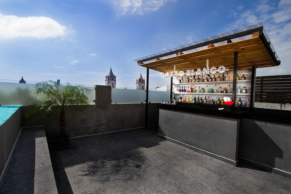Gatto Blanco Party Hotel 파나마시티 외부 사진